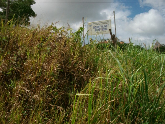 Mission Jamaica