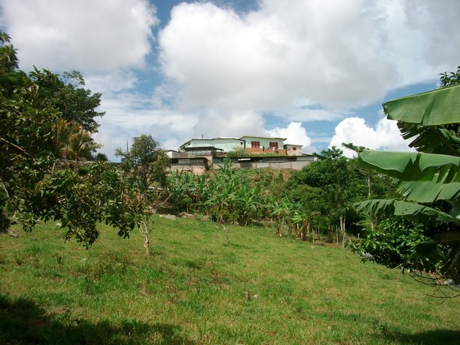 Mission Jamaica
