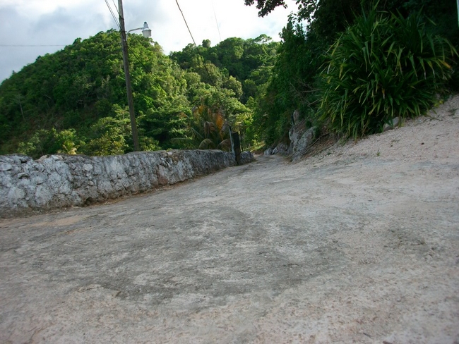 Mission Jamaica