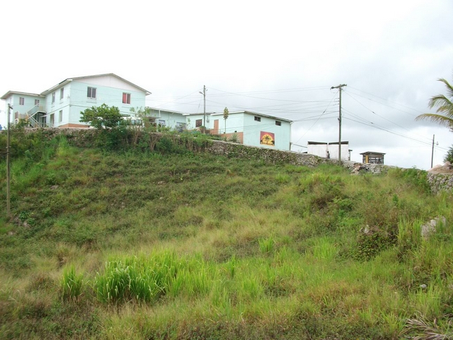 Mission Jamaica